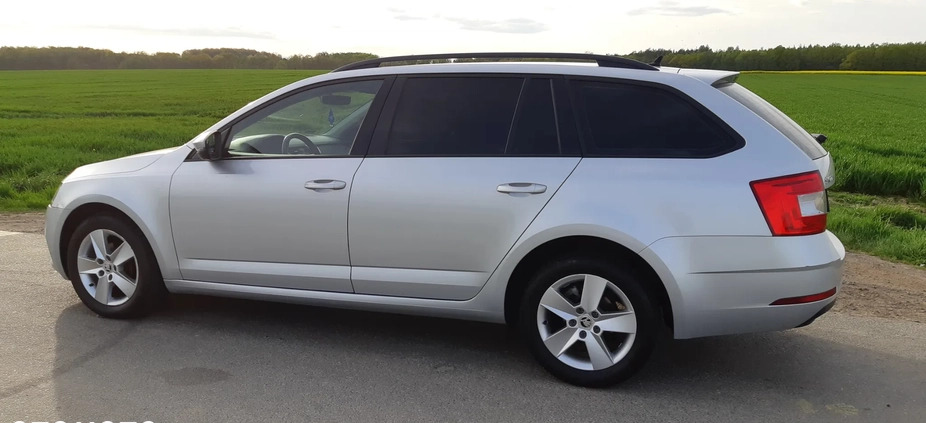 Skoda Octavia cena 49900 przebieg: 176000, rok produkcji 2017 z Syców małe 631